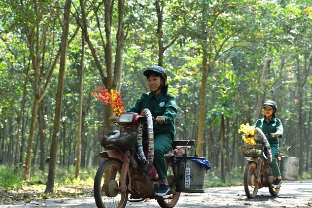 Vỏ xe ★★★ VRG: Sản phẩm ý nghĩa của người lao động ngành cao su